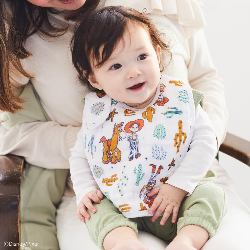 aden + anais] ディズニー スナップビブ（よだれかけ） - 3枚セット