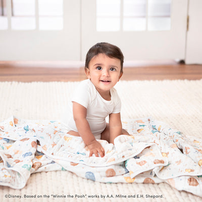 [aden + anais] ディズニー ドリームブランケット  -  ウィニー・イン・ザ・ウッズ