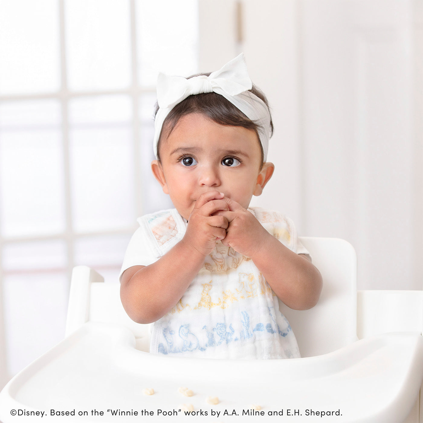 [aden + anais] ディズニー スナップビブ（よだれかけ） - 3枚セット  -  ウィニー・イン・ザ・ウッズ