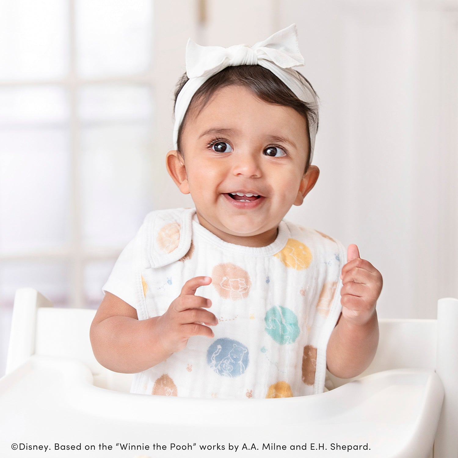 [aden + anais] ディズニー スナップビブ（よだれかけ） - 3枚セット  -  ウィニー・イン・ザ・ウッズ