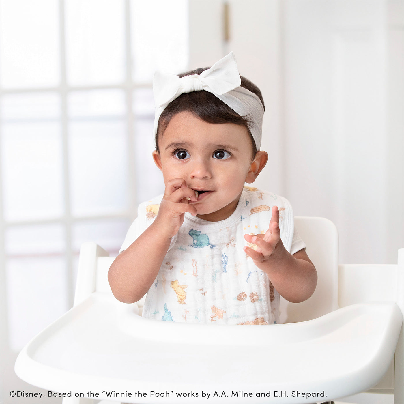 [aden + anais] ディズニー スナップビブ（よだれかけ） - 3枚セット  -  ウィニー・イン・ザ・ウッズ