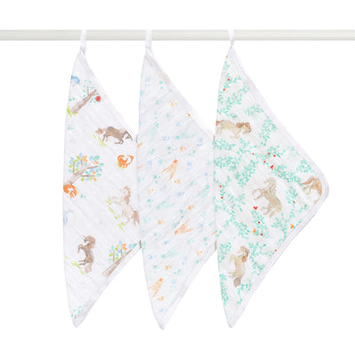 [aden + anais] ウォッシュクロス（お口拭き） 3枚セット - イヤー オブ ザ ホース