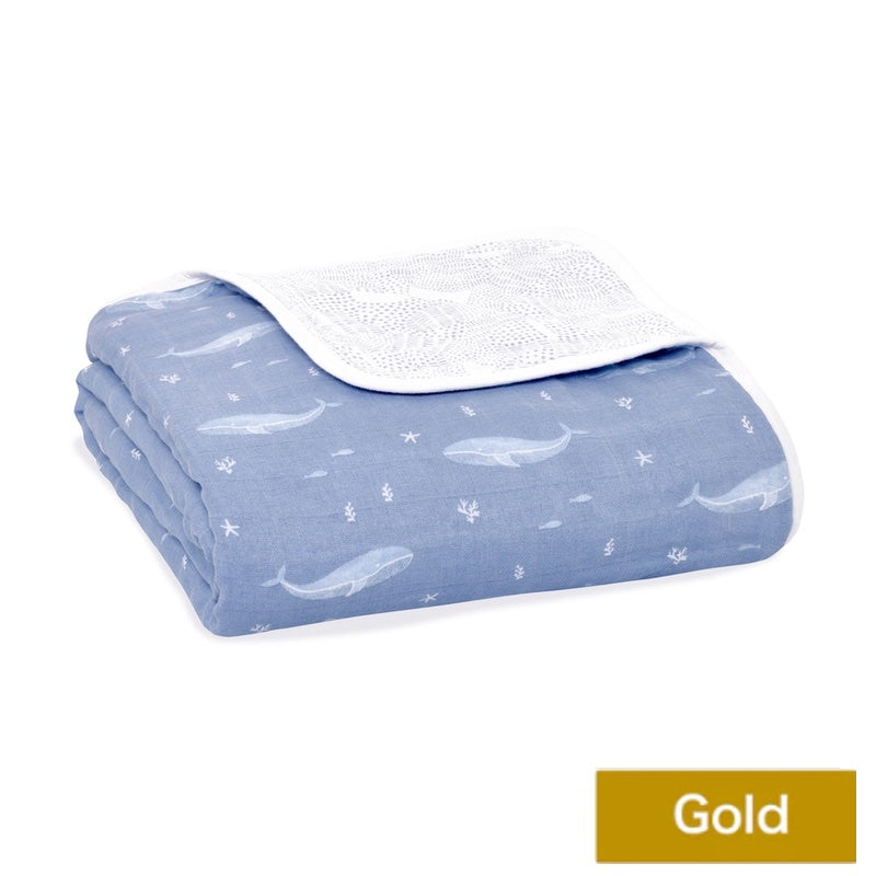 オーシャニック×Gold糸