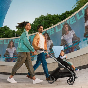 [バガブー] Dragonfly / ドラゴンフライ