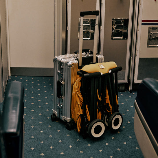 [サイベックス] LIBELLE / リベル《2026年モデル》