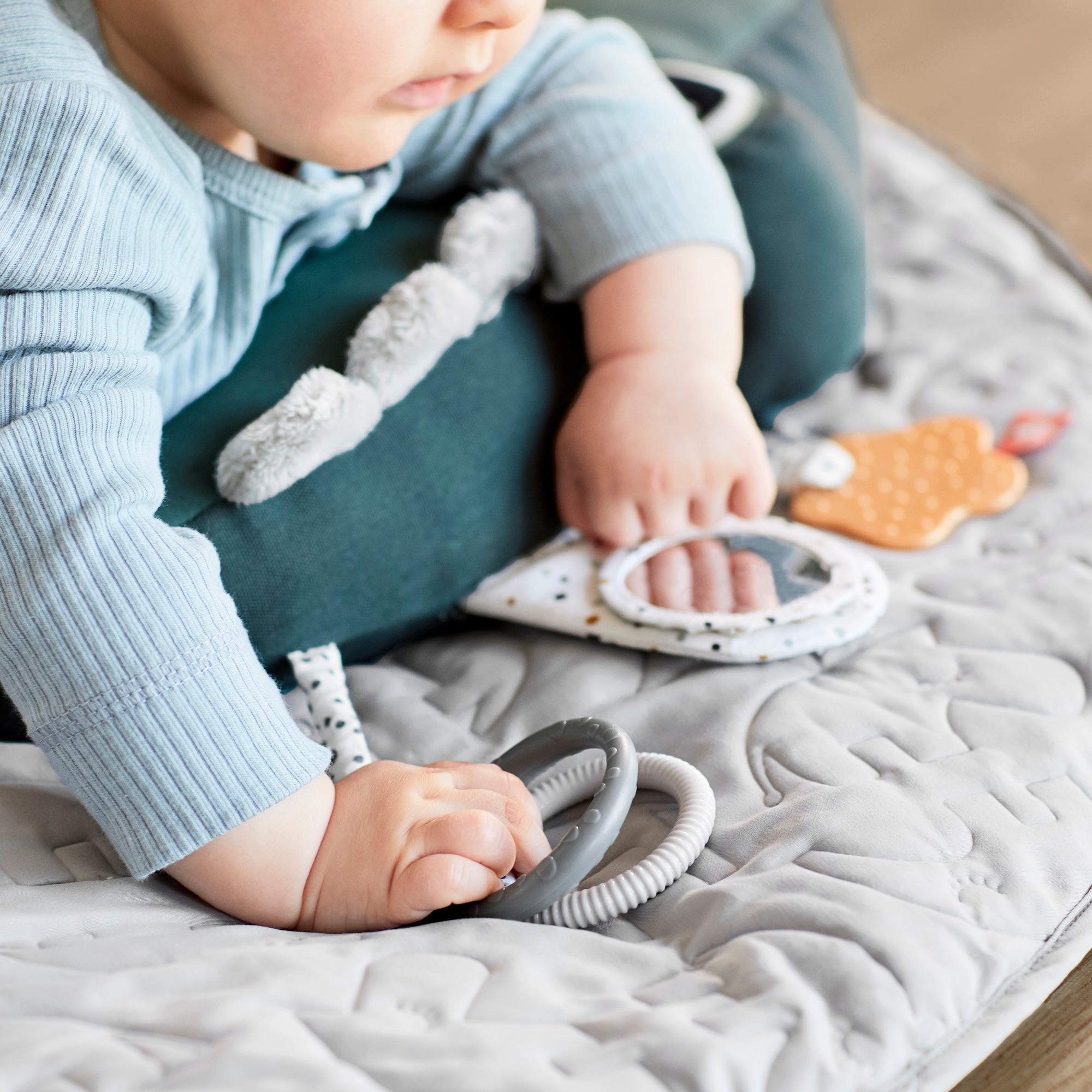 [ダンバイディア] タミ―タイム アクティビティトイ - クロコ