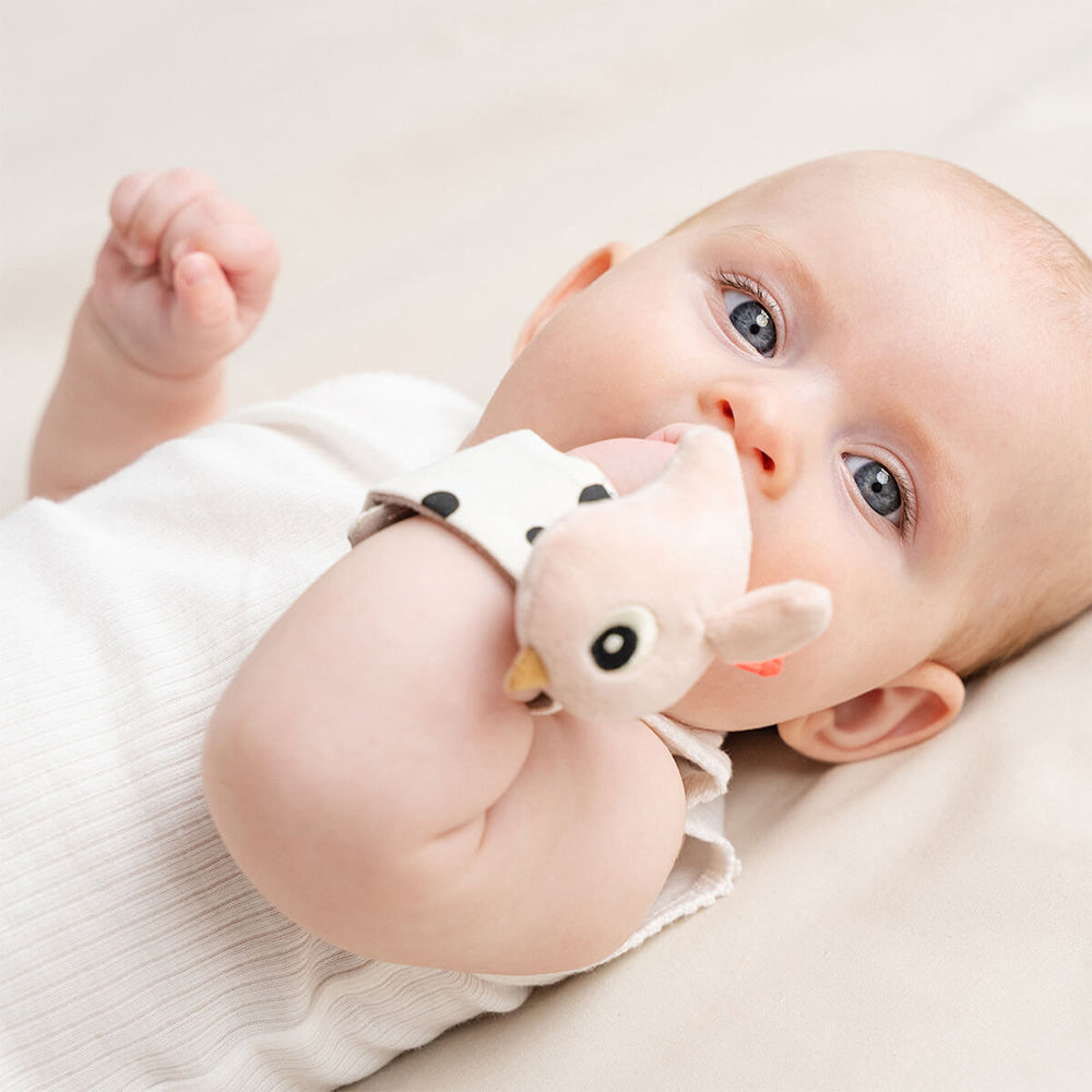 [ダンバイディア] リストラトル ハッピークラウド - 2個セット