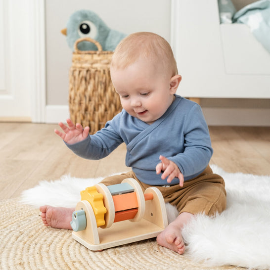 [ダンバイディア] スピナーアクティビティトイ - バーディ