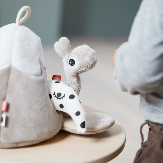 [ダンバイディア] ハイドアンドシーク マウンテン - ラリー