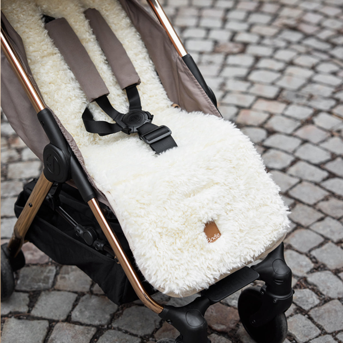 [エロディ] Cosy Cushion / リバーシブル コージークッション