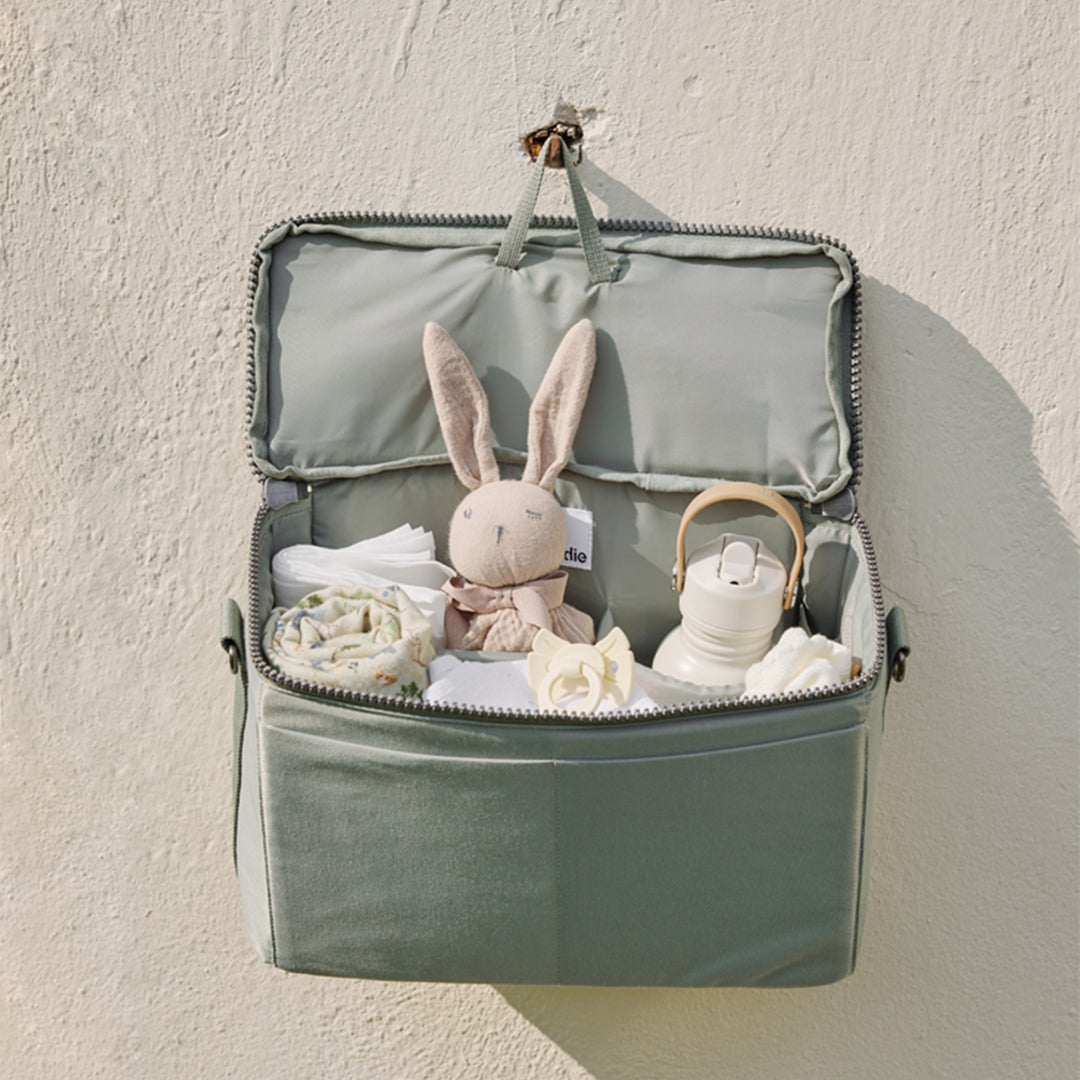 エロディ] Organizer / オーガナイザー – blossom39 ONLINE SHOP