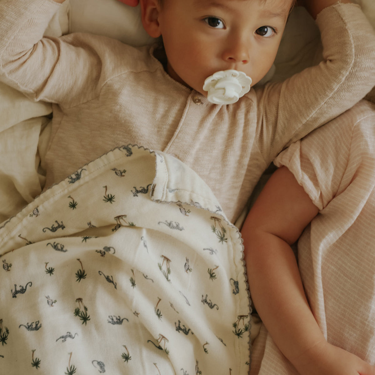 [エロディ] Bamboo Muslin Blanket /  バンブーモスリンブランケット
