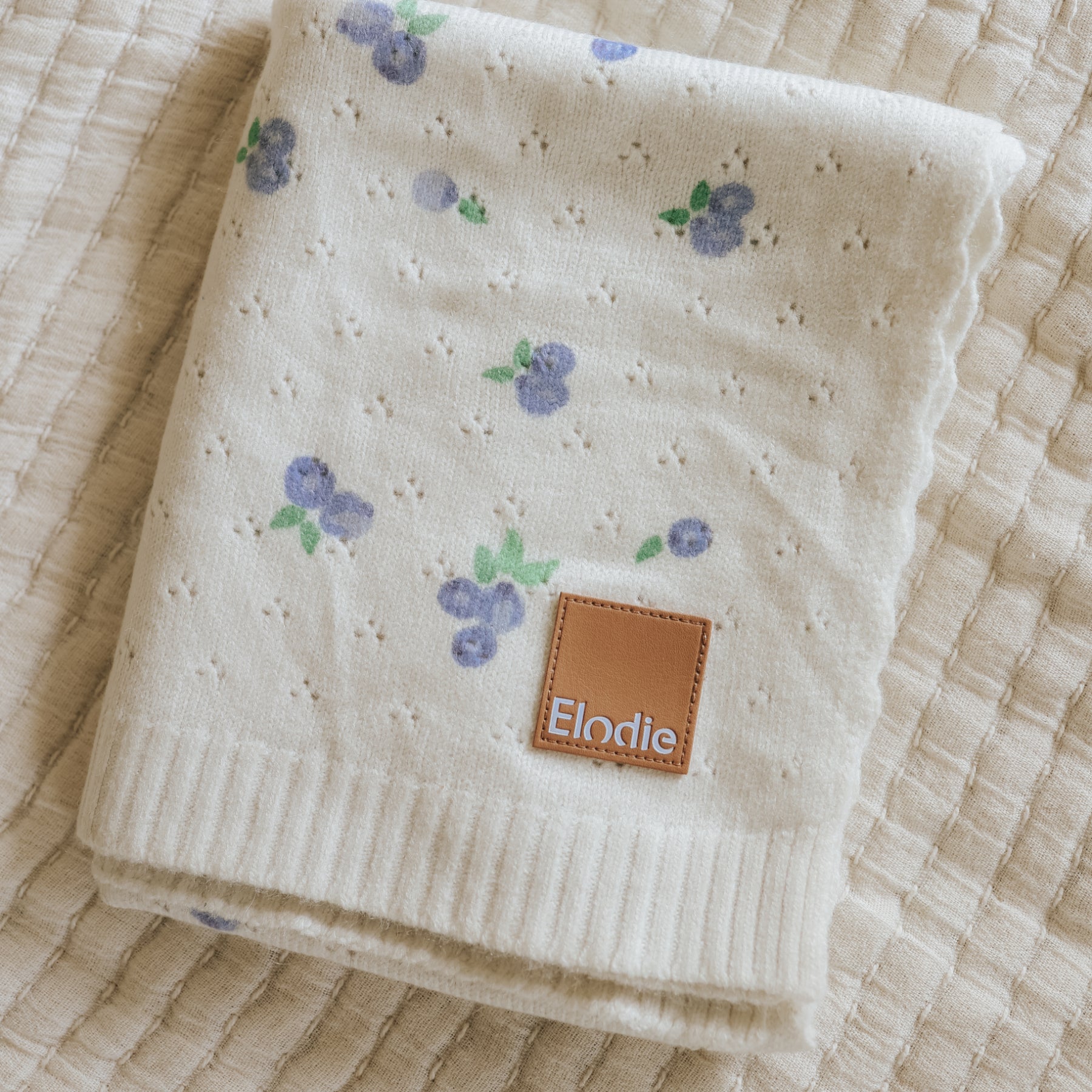 [エロディ] Pointelle Blanket / ポインテルブランケット