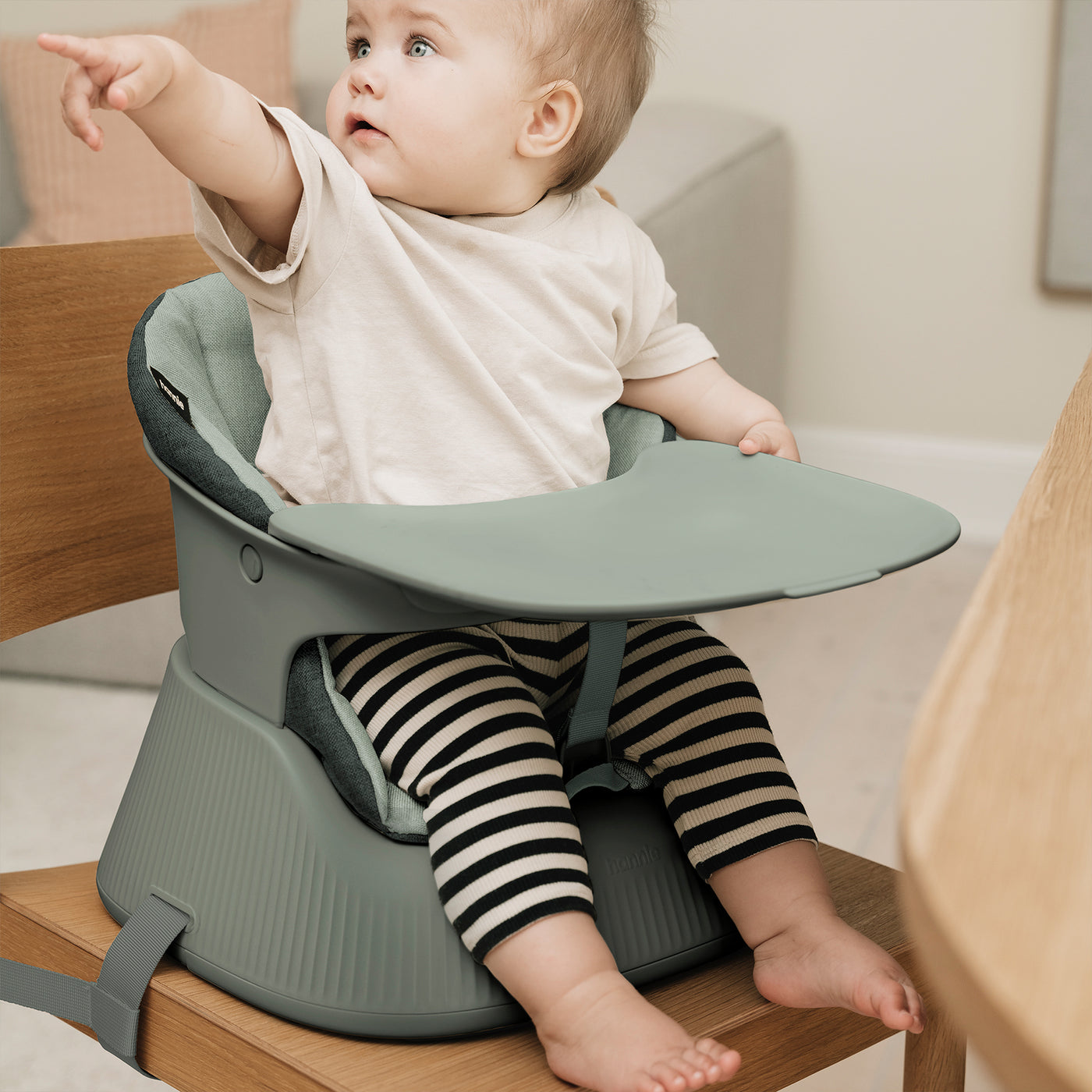 [ハニー] ブースターチェア（ポータブルチェア）