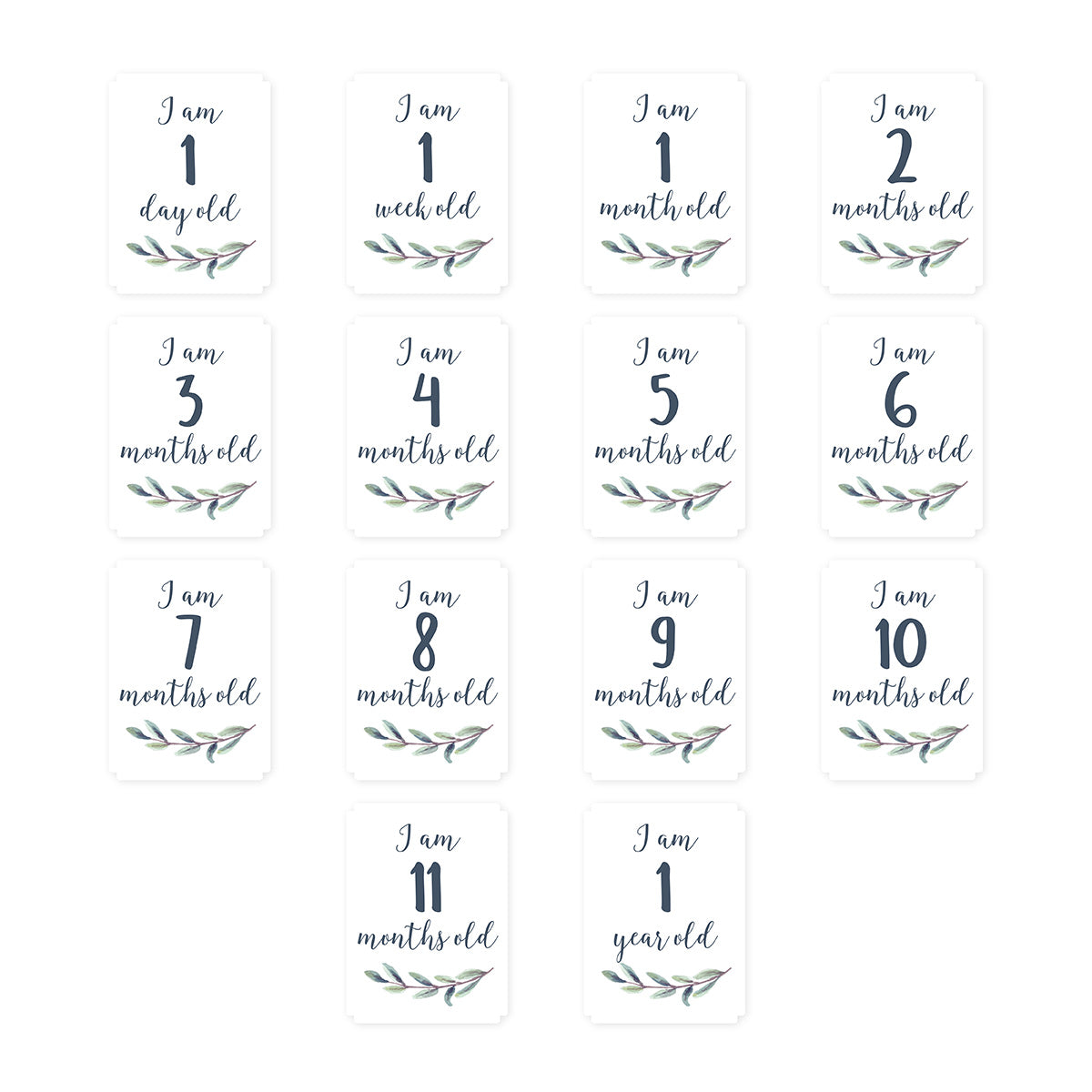 【名入れ】[lulujo] マイルストーンカードセット