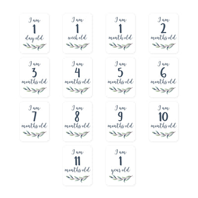 【名入れ】[lulujo] マイルストーンカードセット