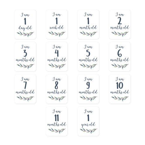 [lulujo] マイルストーンカードセット