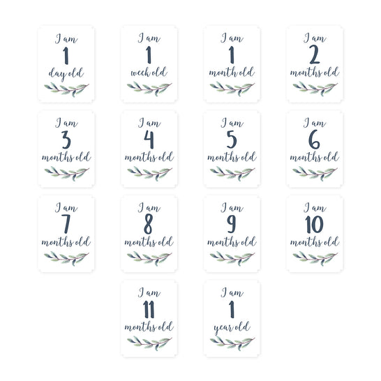 [lulujo] マイルストーンカードセット