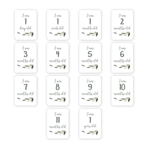 [lulujo] マイルストーンカードセット