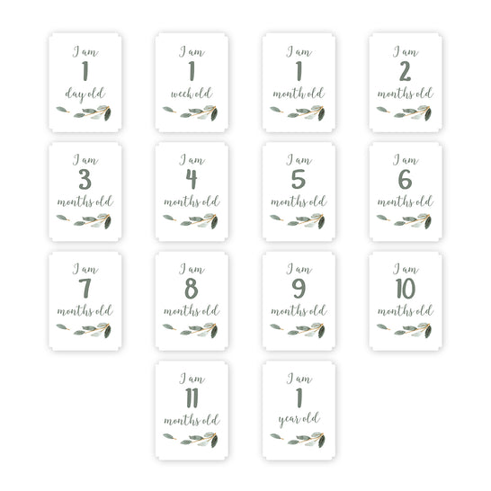 [lulujo] マイルストーンカードセット