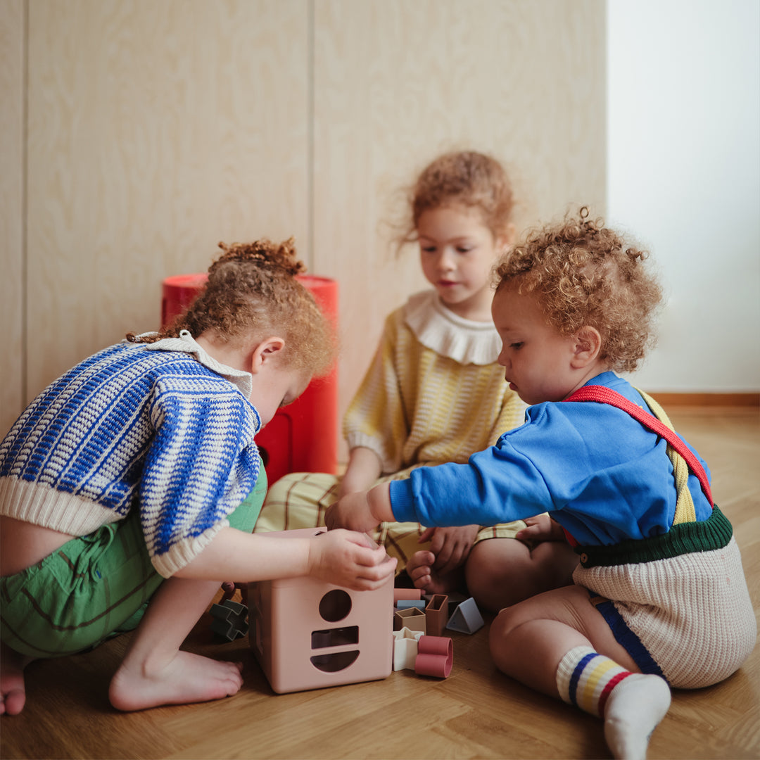 ムシエ] シェイプソーティングボックス（型はめパズル） – blossom39