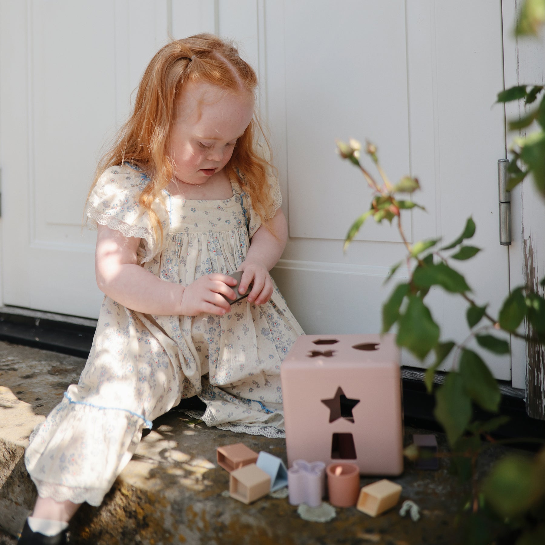 [ムシエ] シェイプソーティングボックス（型はめパズル）