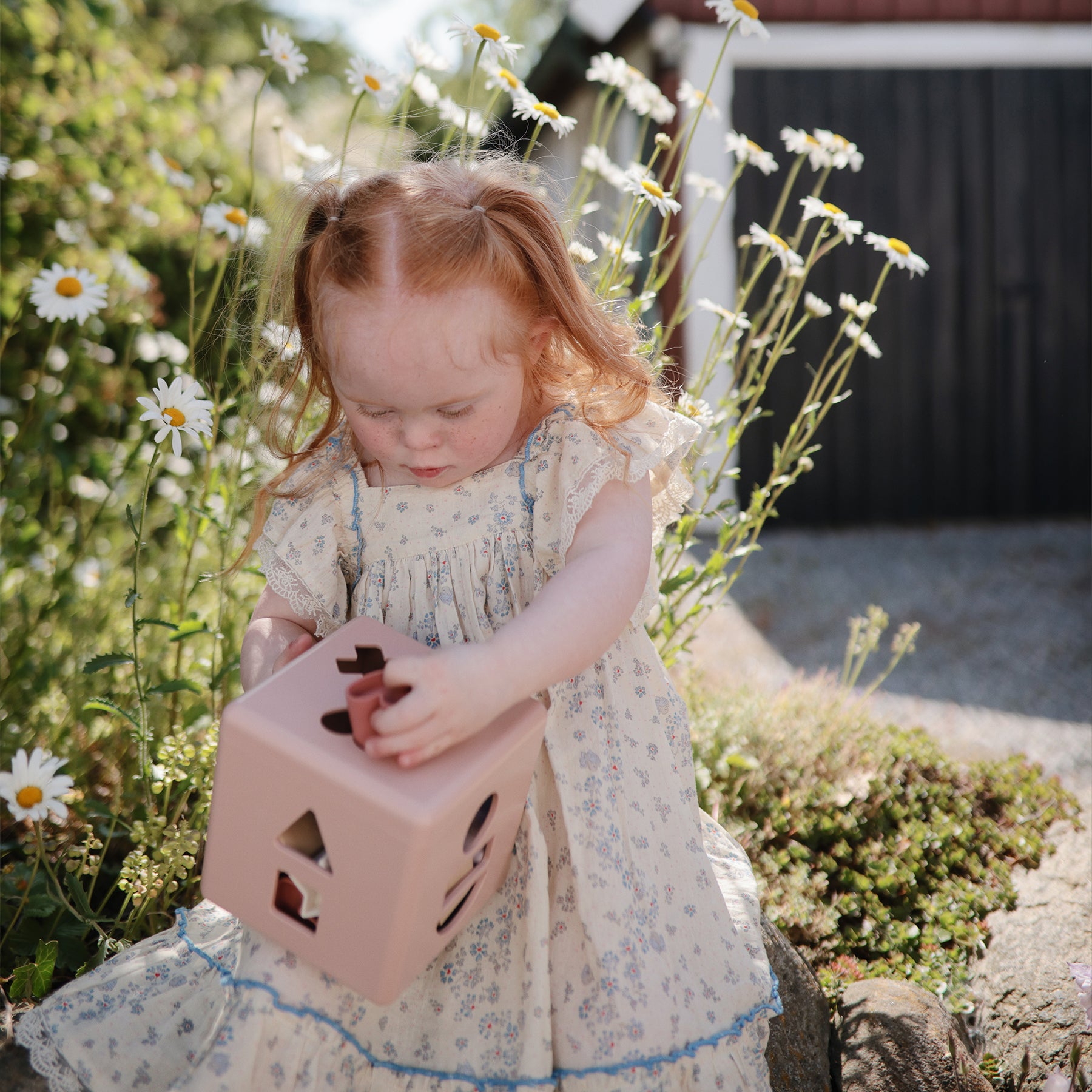 [ムシエ] シェイプソーティングボックス（型はめパズル）