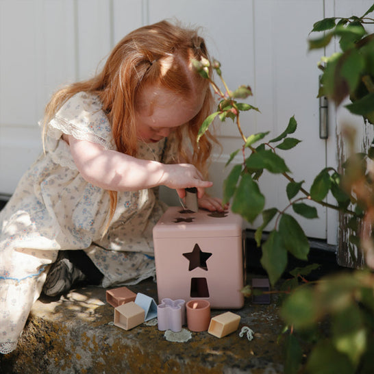 [ムシエ] シェイプソーティングボックス（型はめパズル）