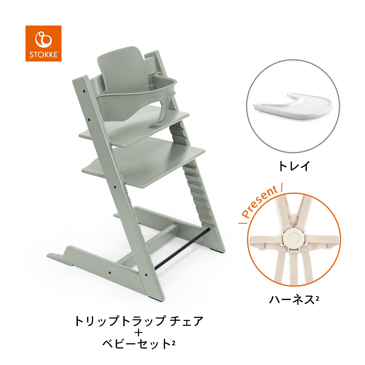 グレイシアグリーン / ホワイト