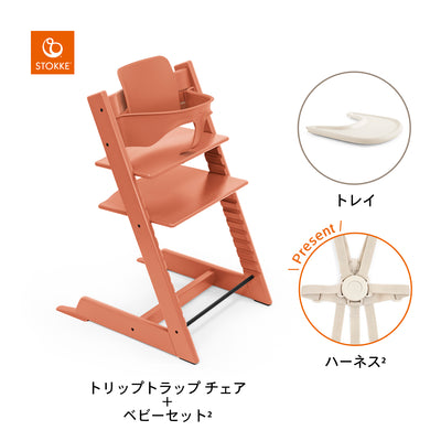 テラコッタ / バニラホワイト