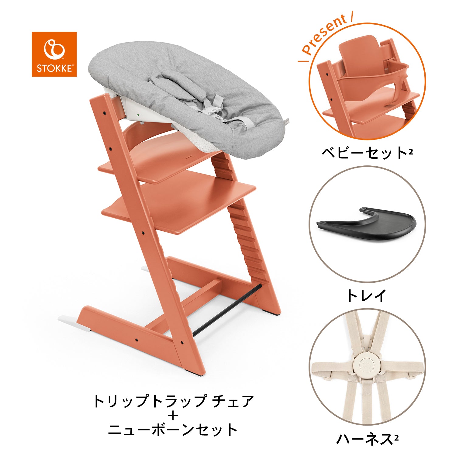 テラコッタ / ブラック / グレー