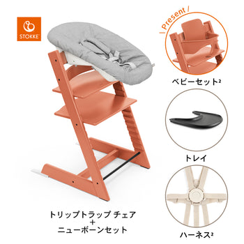 テラコッタ / ブラック / グレー