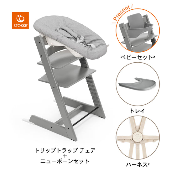 ストームグレー / ストームグレー / グレー