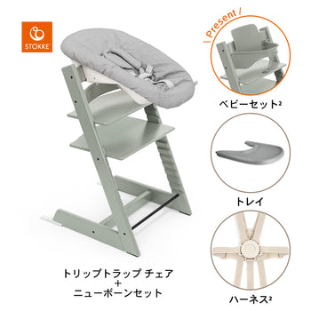 グレイシアグリーン / ストームグレー / グレー