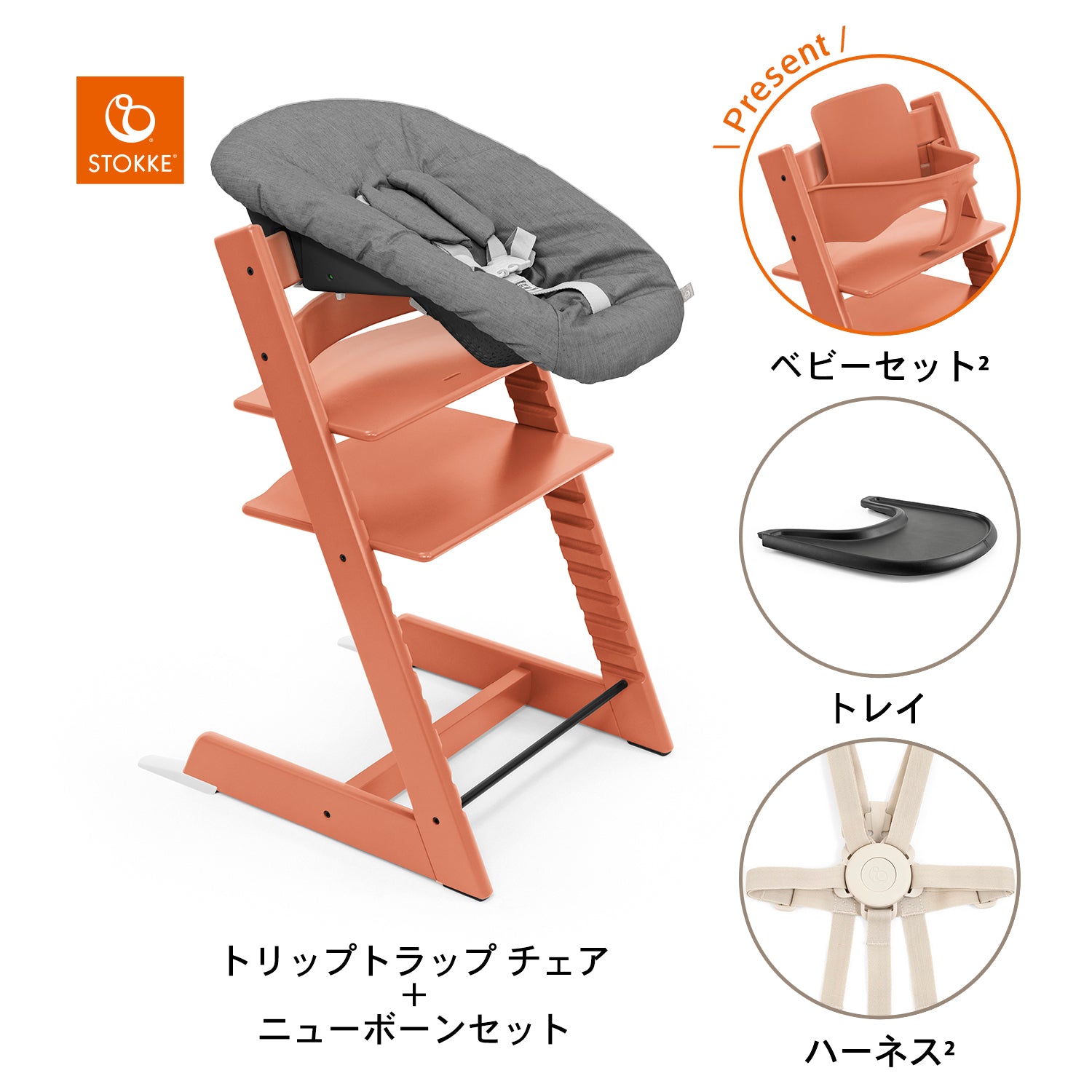 テラコッタ / ブラック / アンスラサイト