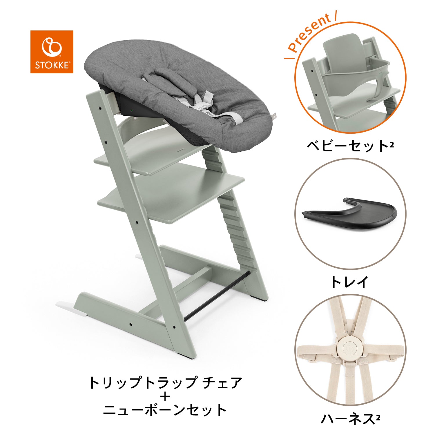 グレイシアグリーン / ブラック / アンスラサイト