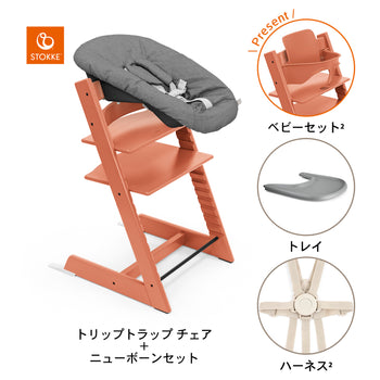 テラコッタ / ストームグレー / アンスラサイト