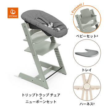 グレイシアグリーン / ストームグレー / アンスラサイト