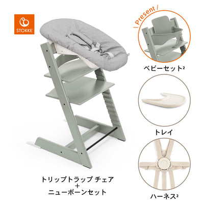 グレイシアグリーン / バニラホワイト / グレー