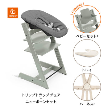 グレイシアグリーン / バニラホワイト / アンスラサイト