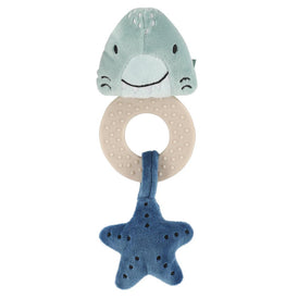 Mr.Shark